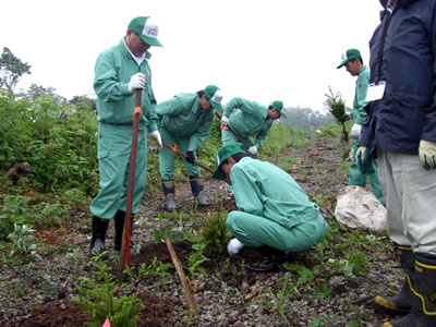 2007年植林ボランティア3