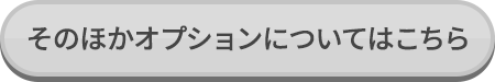 そのほかオプションについてはこちら